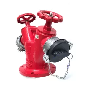 Trụ chữa cháy 2 họng Fuji Vietlink FJVL DN65x2 (MB80)