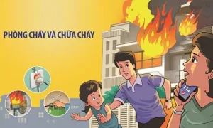 Xử lý khi có cháy tại chung cư: những bước cơ bản để bảo vệ mạng sống