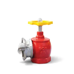 Van góc chữa cháy DN50 83MEC-BQP